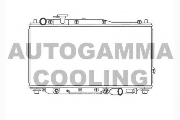 AUTOGAMMA 104031 Радіатор, охолодження двигуна