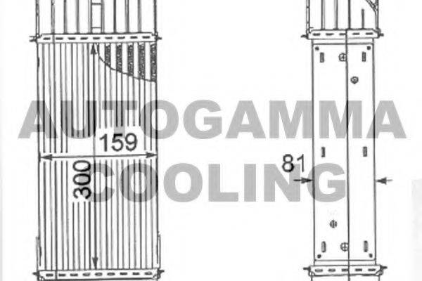 AUTOGAMMA 105121 Інтеркулер