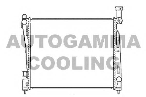 AUTOGAMMA 107220 Радіатор, охолодження двигуна