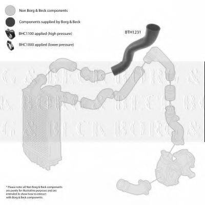 BORG & BECK BTH1231 Трубка повітря, що нагнітається