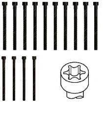 GOETZE 2201319B Комплект болтів головки цилідра